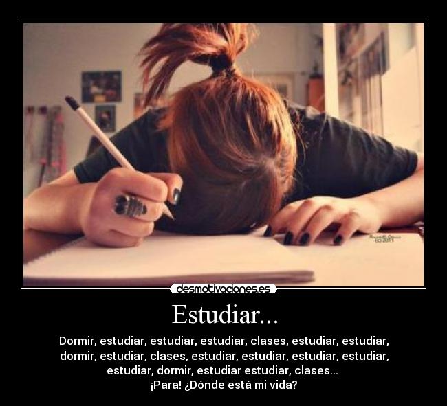 carteles desmoclan studiar dormir estudiar masa donde esta vidaaa desmotivaciones