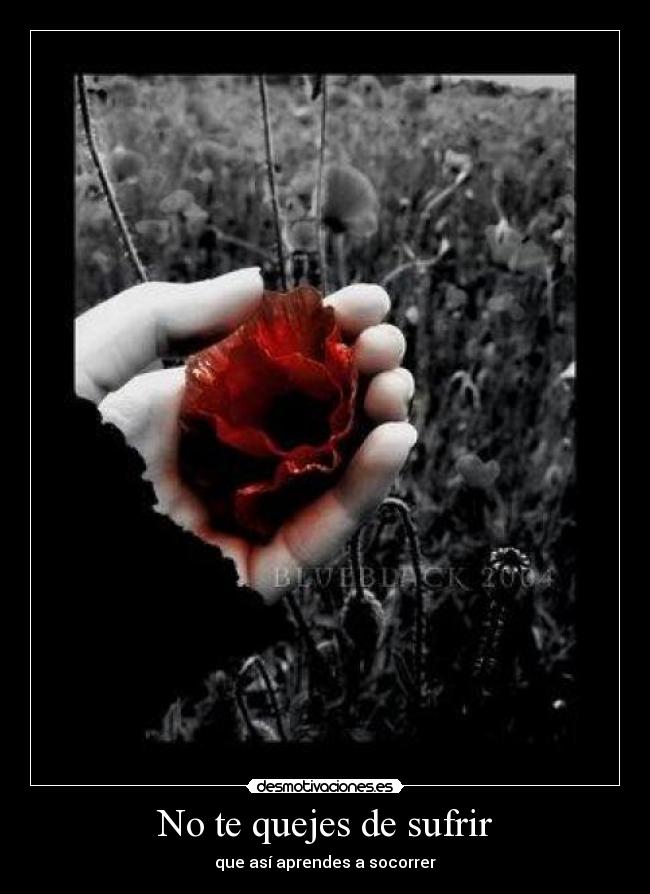No te quejes de sufrir - que así aprendes a socorrer