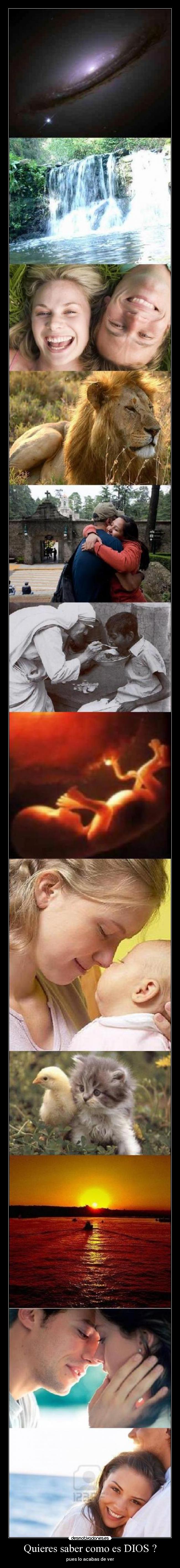 carteles dios amor dios feliciad desmotivaciones