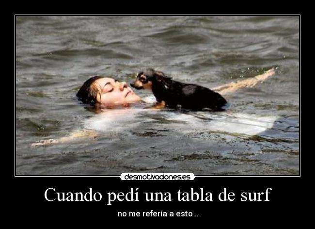 Cuando pedí una tabla de surf - no me refería a esto ..