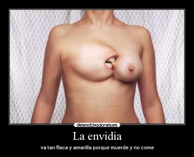 La envidia - va tan flaca y amarilla porque muerde y no come
