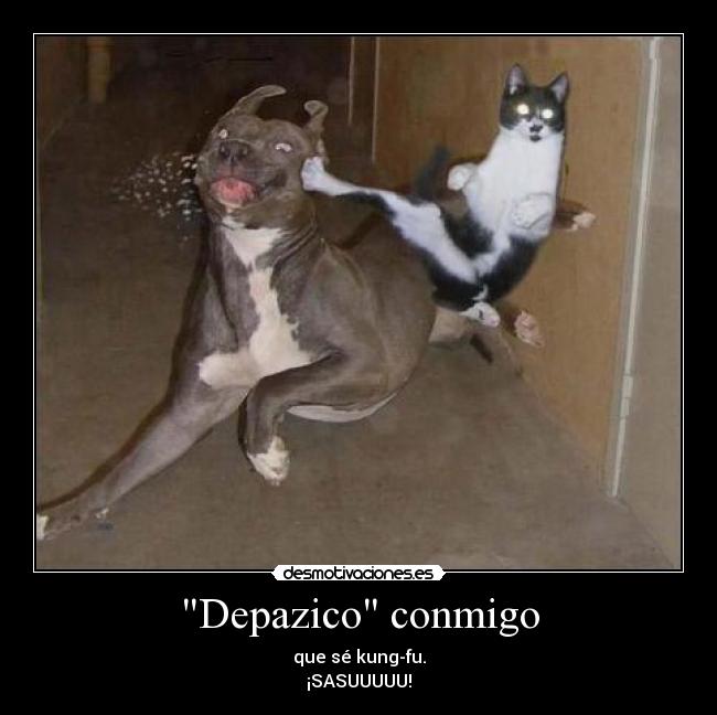 carteles perro gatoskarateka depazico con gatosel primo waltk ataca nuevo desmotivaciones