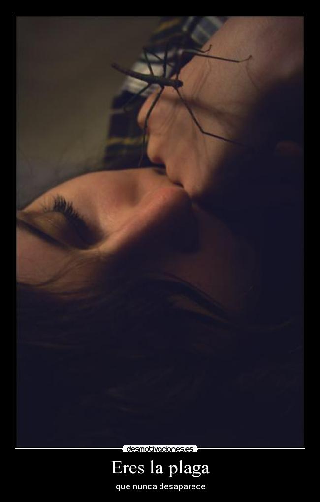 Eres la plaga - que nunca desaparece