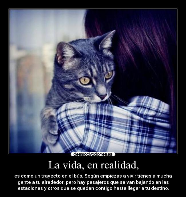 La vida, en realidad, - es como un trayecto en el bús. Según empiezas a vivir tienes a mucha
gente a tu alrededor, pero hay pasajeros que se van bajando en las
estaciones y otros que se quedan contigo hasta llegar a tu destino.