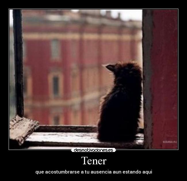Tener - 