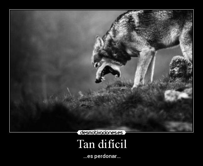 carteles dreadk tan dificil perdonar una meirda pes paz reggae cambiar mundo todos juntossssssssss desmotivaciones