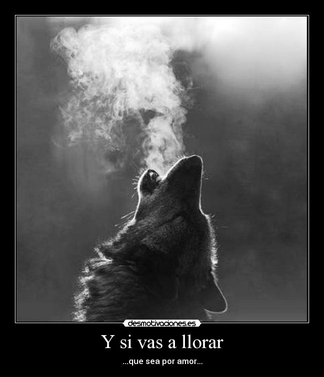 carteles llorar dreadk fiel estilo subiendo carteles blanco negro extranandola pesar todo desmotivaciones