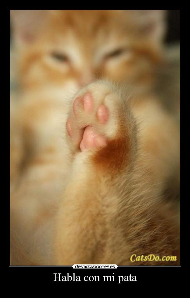 Habla con mi pata -