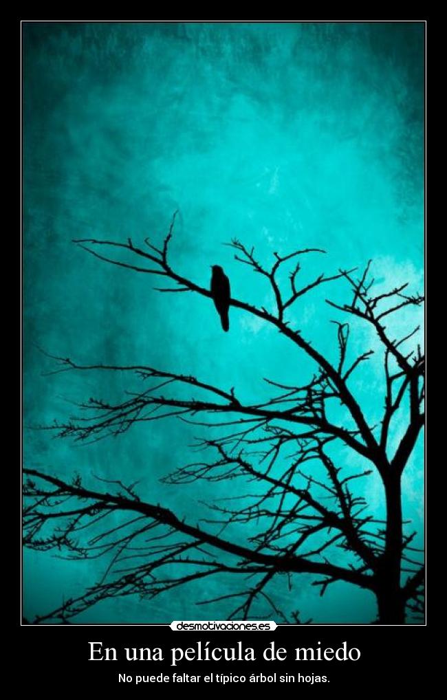 En una película de miedo - No puede faltar el típico árbol sin hojas.
