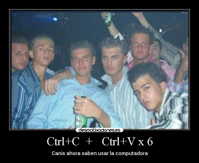 carteles canis desmotivaciones