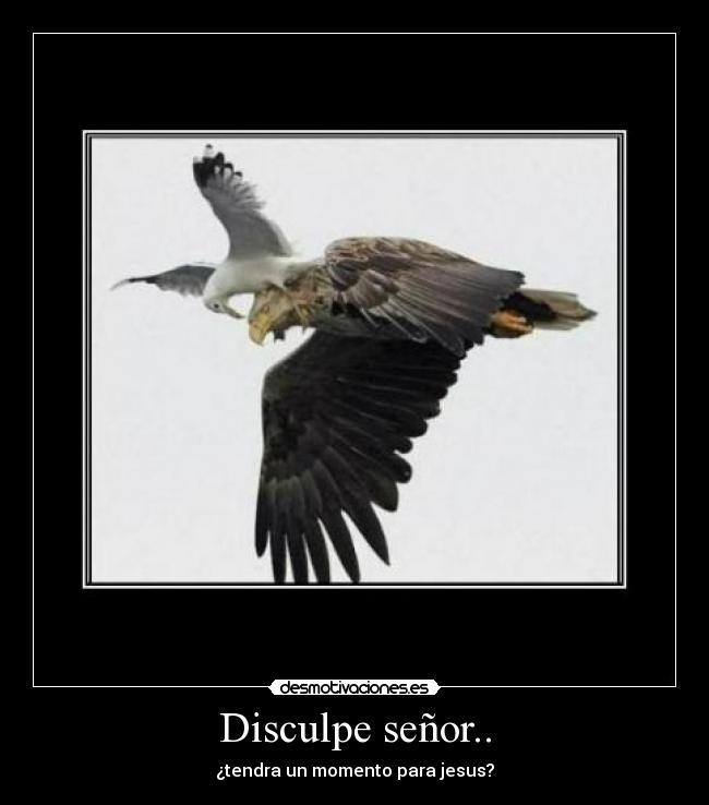 Disculpe señor.. -