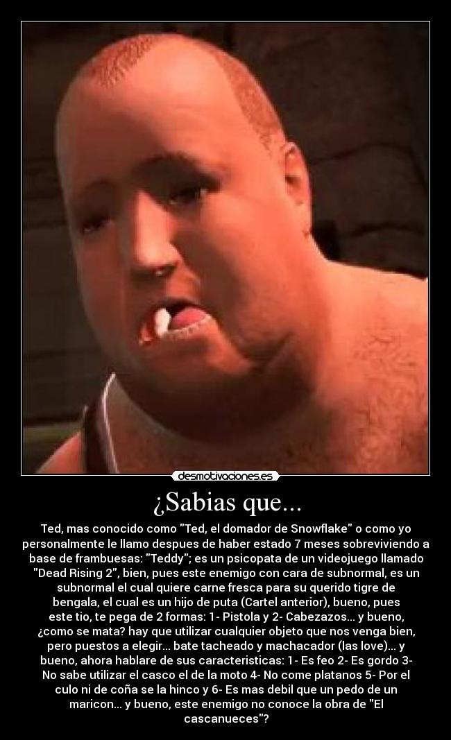 putas bien culonas culo gordo putas bien culonas culo gordo