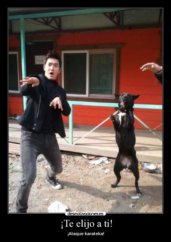 carteles siwon super junior suju pokemon karateka desmotivaciones