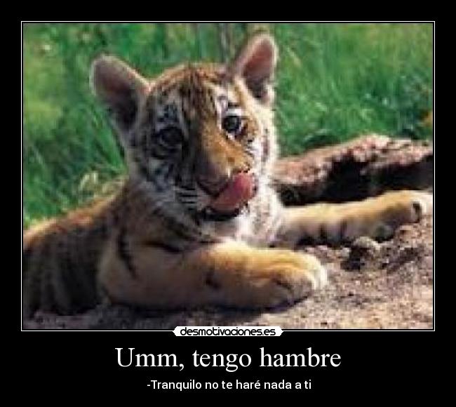Umm, tengo hambre - -Tranquilo no te haré nada a ti