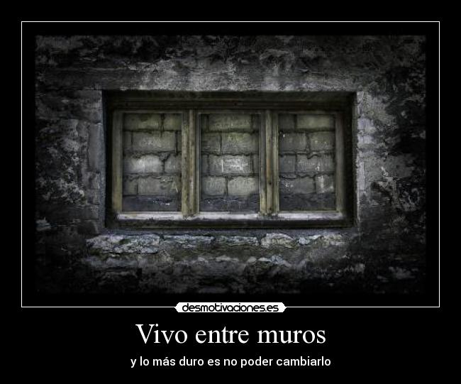 Vivo entre muros -