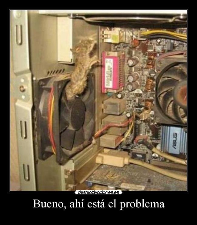 Bueno, ahí está el problema - 