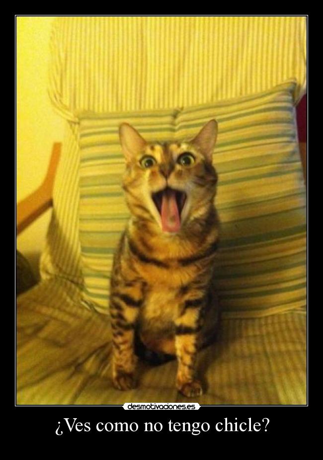 carteles weezypac desmotivaciones