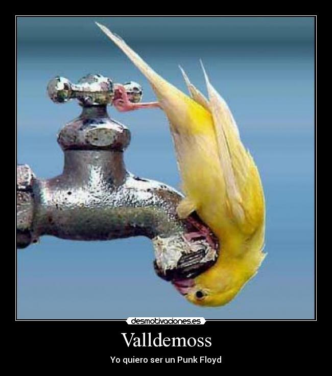 Valldemoss - Yo quiero ser un Punk Floyd
