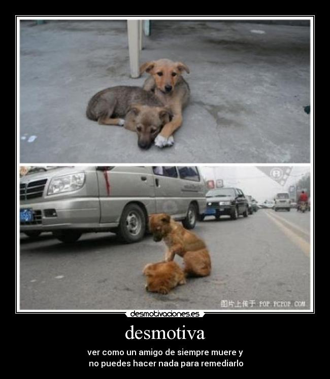 desmotiva - ver como un amigo de siempre muere y
no puedes hacer nada para remediarlo