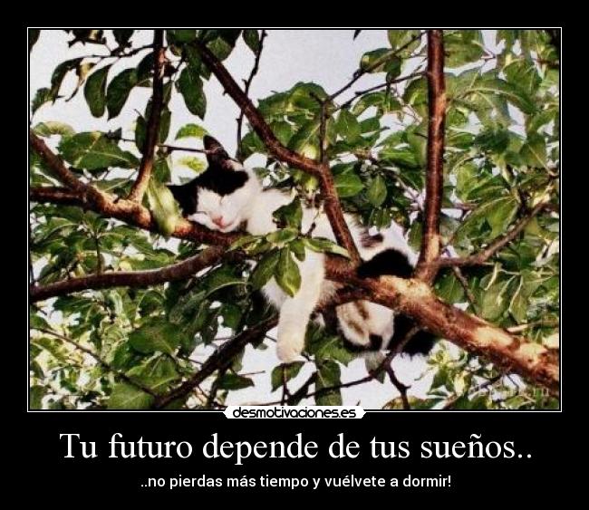 Tu futuro depende de tus sueños.. - ..no pierdas más tiempo y vuélvete a dormir!