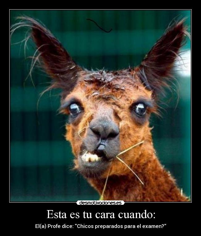 Esta es tu cara cuando: - 