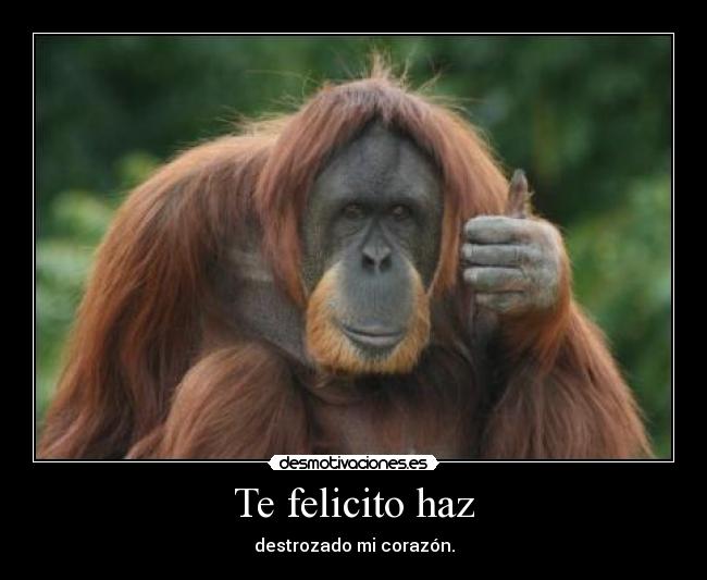 Te felicito haz - 