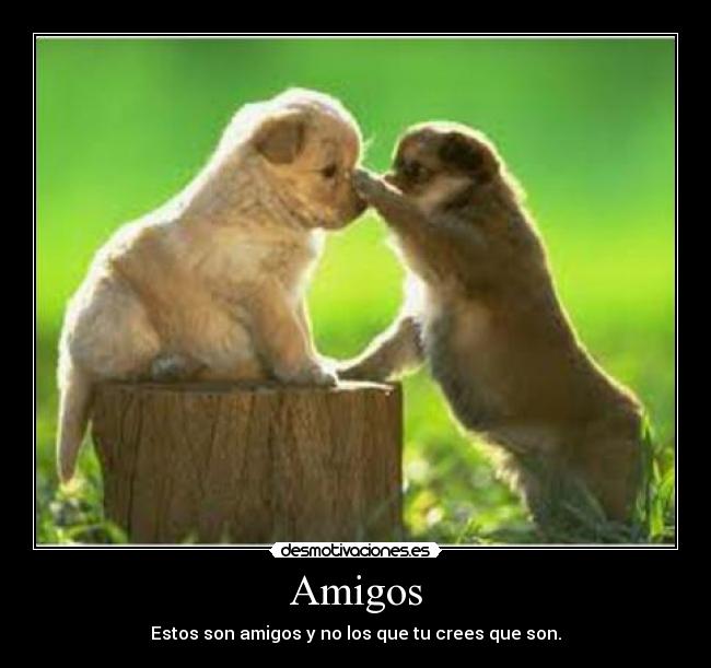 carteles amigos amigos desmotivaciones