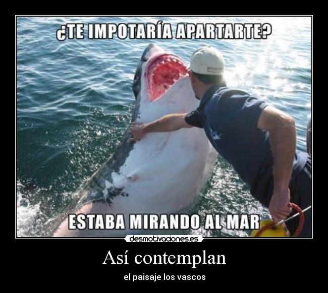 Así contemplan - el paisaje los vascos