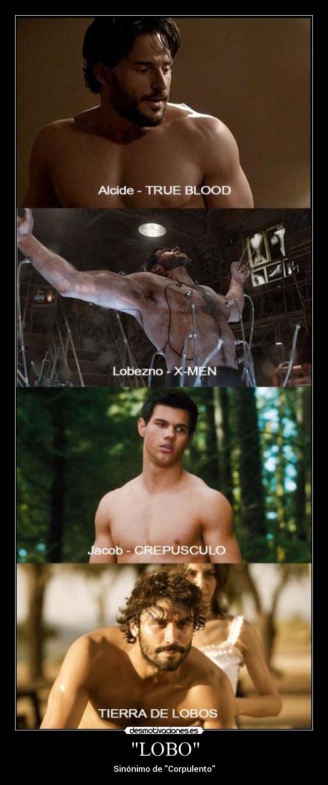 LOBO -