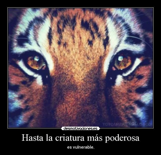 Hasta la criatura más poderosa - es vulnerable.