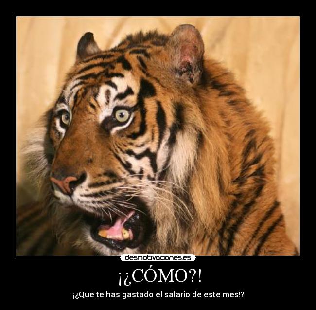 ¡¿CÓMO?! - ¡¿Qué te has gastado el salario de este mes!?