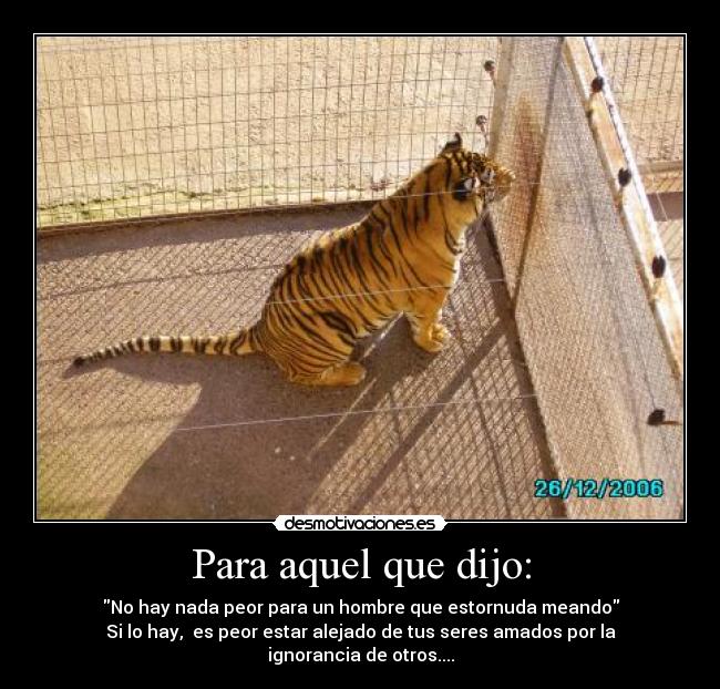 carteles tigre solo hombre peor desmotivaciones