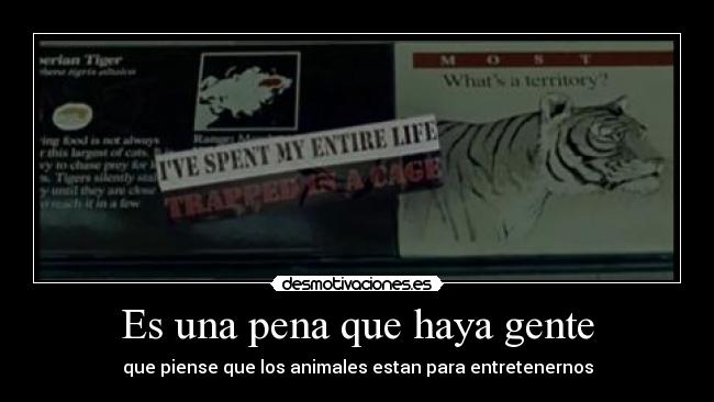 Es una pena que haya gente - 