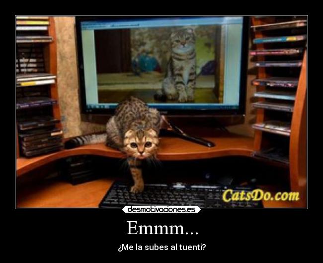 Emmm... - ¿Me la subes al tuenti?