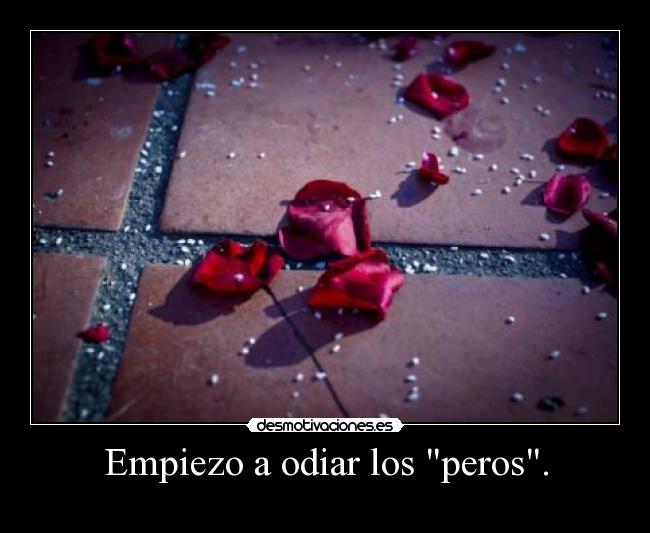 carteles  desmotivaciones