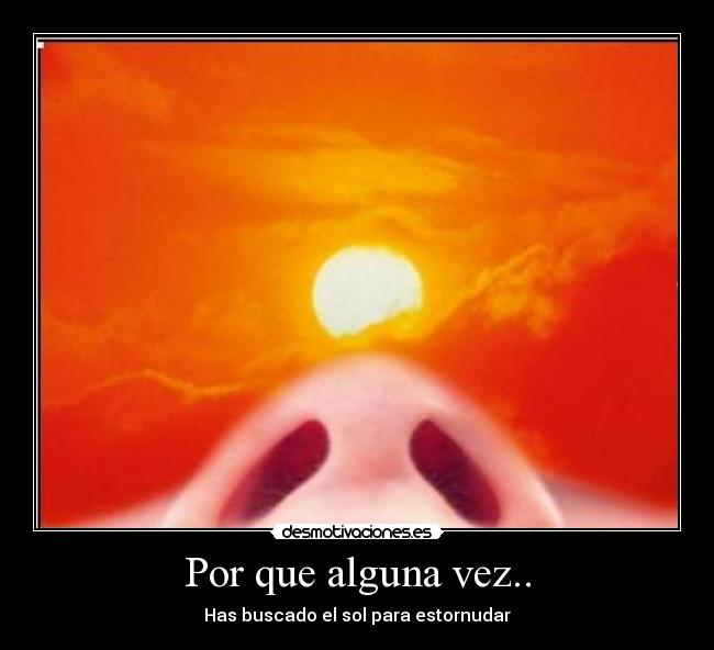 Por que alguna vez.. - Has buscado el sol para estornudar