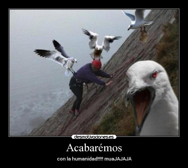 carteles albitaj desmotivaciones