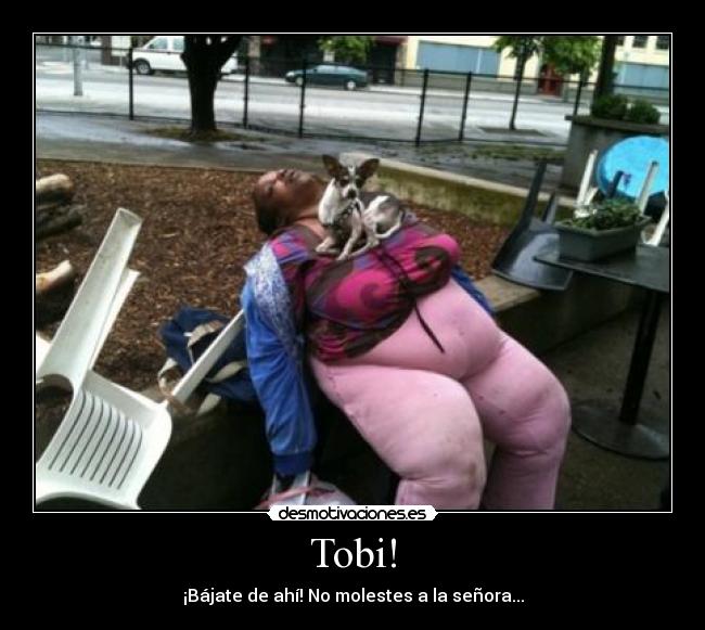 Tobi! - ¡Bájate de ahí! No molestes a la señora...