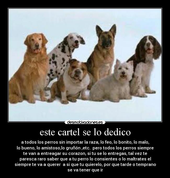 este cartel se lo dedico - a todos los perros sin importar la raza, lo feo, lo bonito, lo malo,
lo bueno, lo amistoso,lo gruñón ,etc. pero todos los perros siempre
te van a entreagar su corazon, si tu se lo entregas, tal vez te
paresca raro saber que a tu perro lo consientes o lo maltrates el
siempre te va a querer a si que tu quierelo, por que tarde o temprano
se va tener que ir