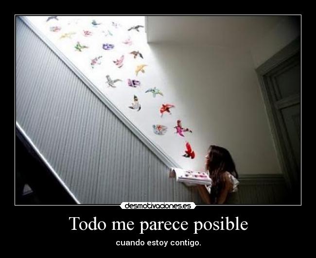 Todo me parece posible - 