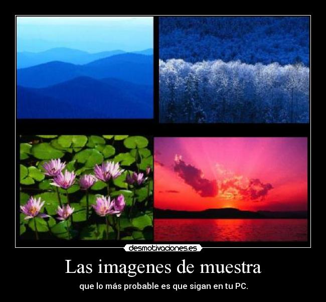 Las imagenes de muestra - que lo más probable es que sigan en tu PC.