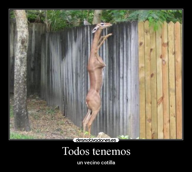 Todos tenemos - un vecino cotilla