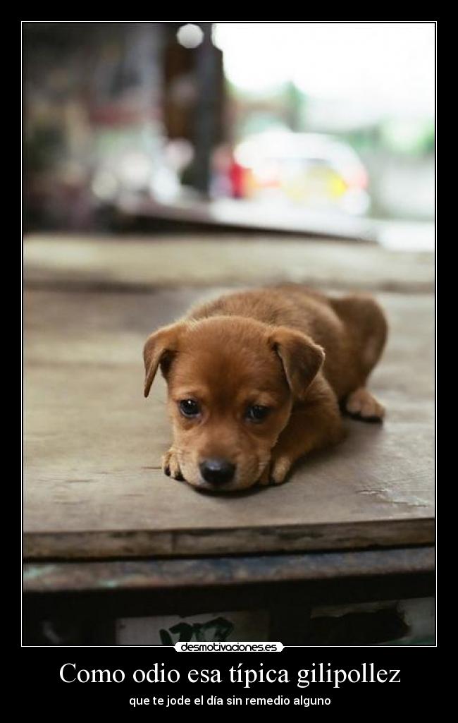Como odio esa típica gilipollez - que te jode el día sin remedio alguno