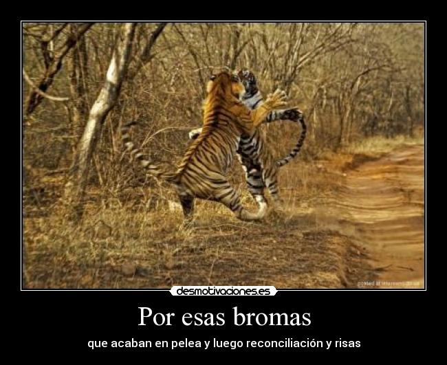 Por esas bromas - 