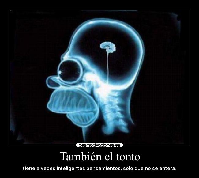 También el tonto - 