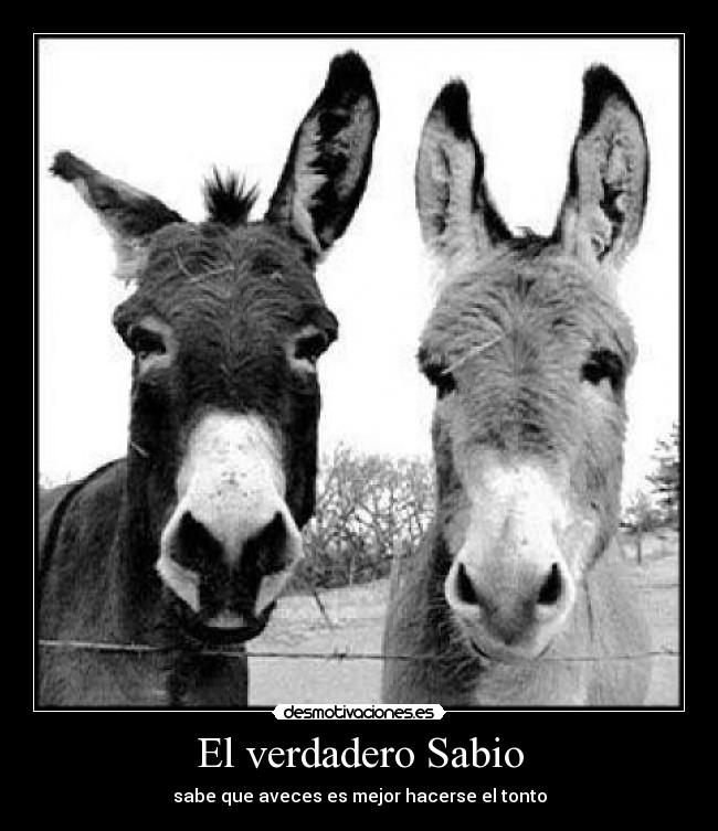 El verdadero Sabio - sabe que aveces es mejor hacerse el tonto