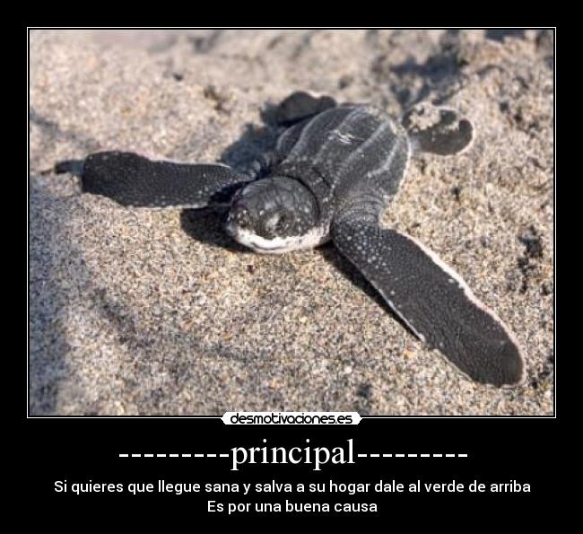 ---------principal--------- - Si quieres que llegue sana y salva a su hogar dale al verde de arriba
Es por una buena causa