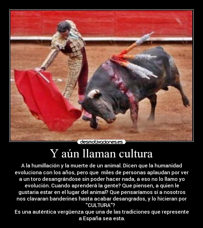 Y aún llaman cultura -