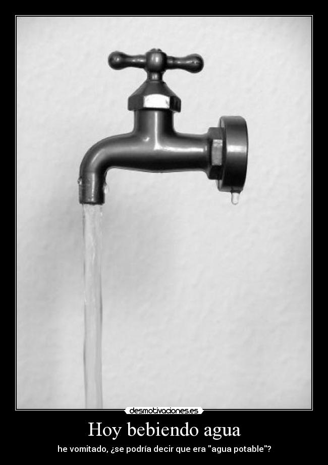 Hoy bebiendo agua - he vomitado, ¿se podría decir que era agua potable?