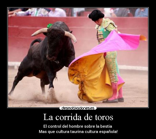 La corrida de toros - El control del hombre sobre la bestia 
Mas que cultura taurina cultura española!